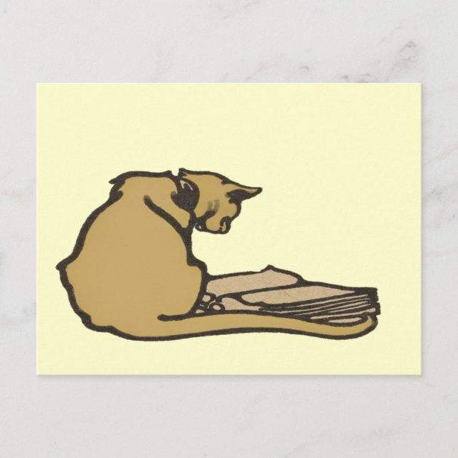 Clever Cat Postcard (Front)