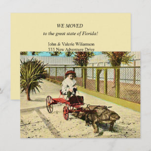 Clever Florida Alligator Moving Announcement