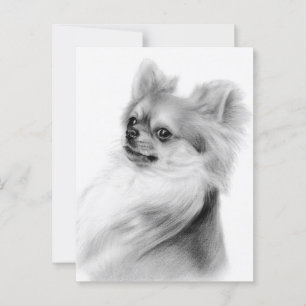 Clever Look Hand Painted Chihuahua Portrait Postcard