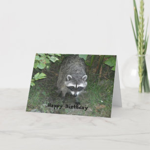 Clever Racoon Birthday Greeting Card