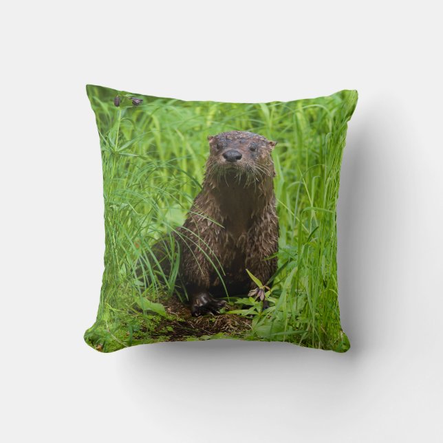 Clever River Otter Cushion (Front)