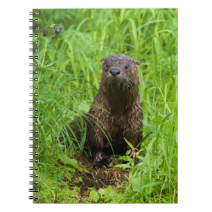 Clever River Otter Notebook