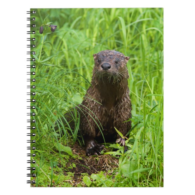 Clever River Otter Notebook (Front)