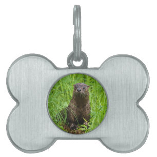 Clever River Otter Pet ID Tag