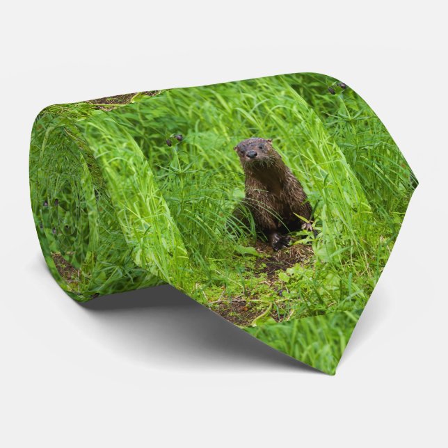 Clever River Otter Tie (Rolled)