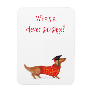 'Clever sausage' dachshund graduation gift magnet