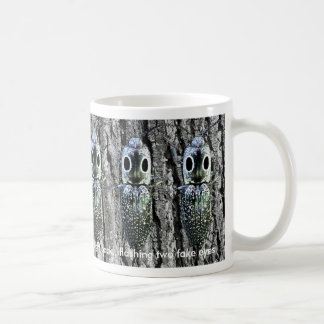 Click Beetle Haiku Mug