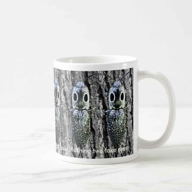 Click Beetle Haiku Mug (Right)