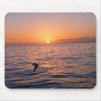 Click & captured  mouse pad