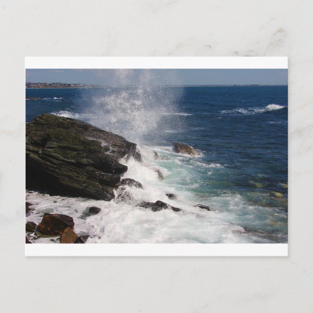 Cliff Walk at Newport, RI Postcard (Front)