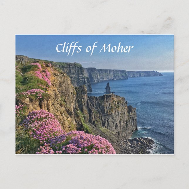 Cliffs of Moher, Ireland, Flowers Postcard (Front)