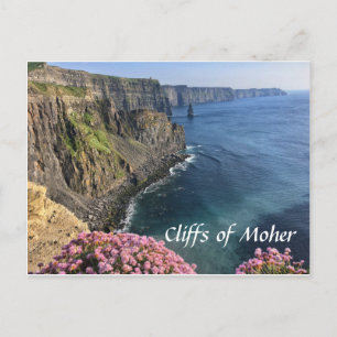 Cliffs of Moher, Ireland, Flowers, Postcard