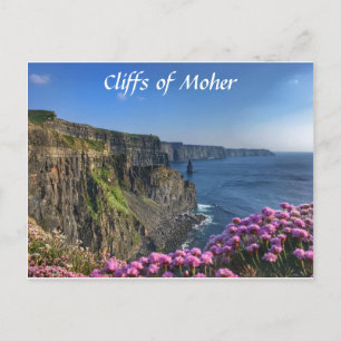 Cliffs of Moher, Ireland, Flowers Postcard
