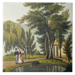 Clifton, from 'The Naturama, or, Nature's Endless Tile