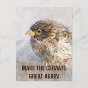 Climate change awareness postcard