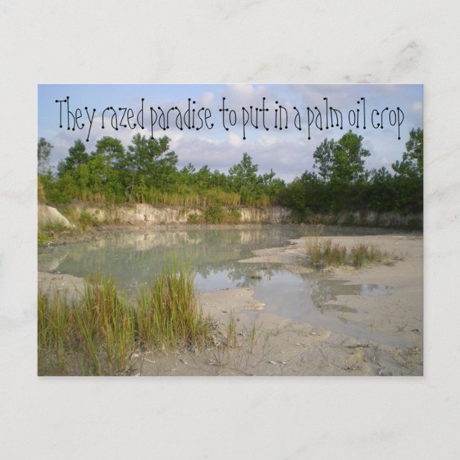 Climate Change Environmental Warning Postcard (Front)