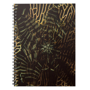 Climate Notebook