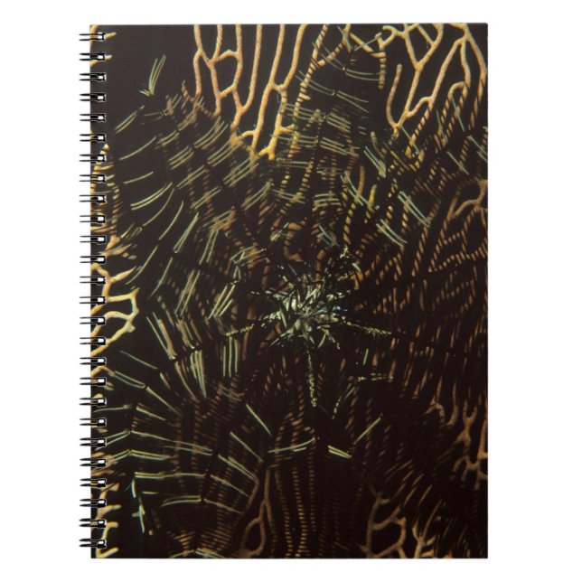 Climate Notebook (Front)