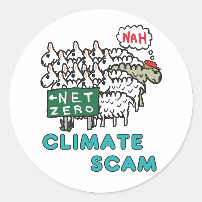 Climate Scam Classic Round Sticker (Front)