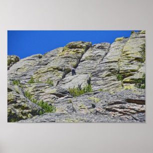 Climber Nears Summit of Devils Tower, Wyoming Poster