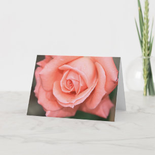Climbing America Rose Note Card