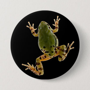 Climbing Arizona Tree Frog Photograph 7.5 Cm Round Badge