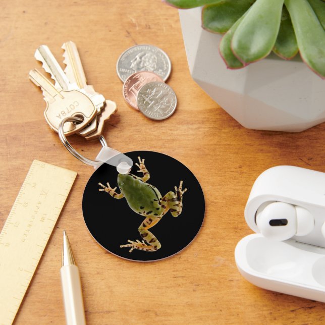 Climbing Arizona Tree Frog Photograph Over Black Key Ring (Desk)
