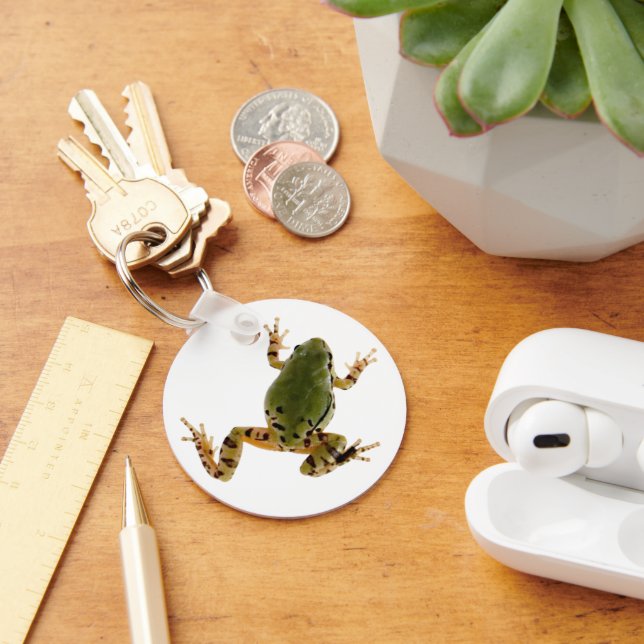 Climbing Arizona Tree Frog Photograph Over White Key Ring (Desk)