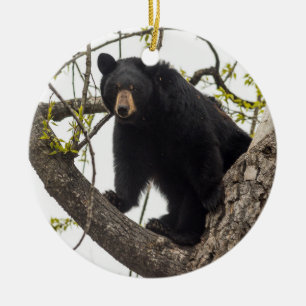Climbing Black Bear Ceramic Ornament