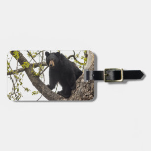 Climbing Black Bear Luggage Tag