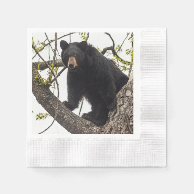 Climbing Black Bear Napkin (Front)