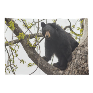 Climbing Black Bear Pillowcase