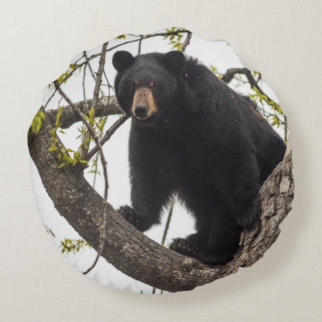 Climbing Black Bear Round Cushion (Back)