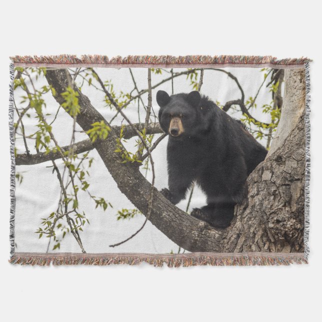 Climbing Black Bear Throw Blanket (Front)