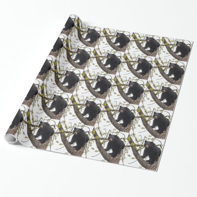 Climbing Black Bear Wrapping Paper (Unrolled)
