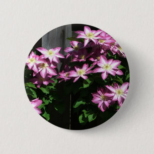 Climbing Clematis Purple Spring Flowers 6 Cm Round Badge