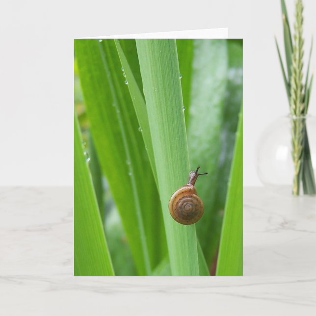 Climbing Garden Snail Note card (Front)