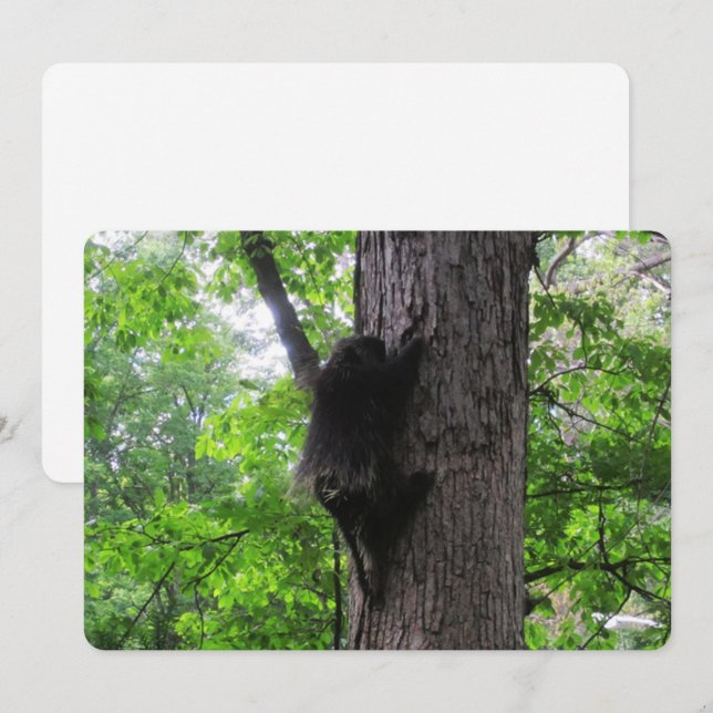 Climbing High Flat Holiday Card (Front/Back)