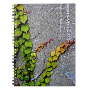 Climbing Ivy Spiral Photo Notebook
