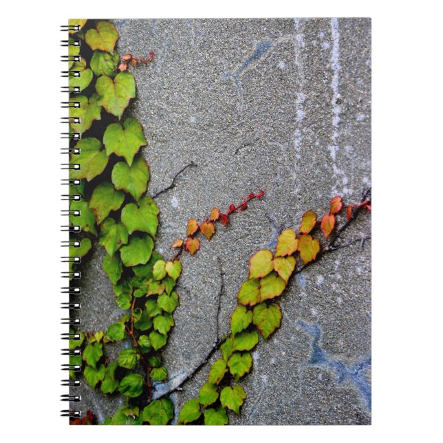 Climbing Ivy Spiral Photo Notebook (Front)