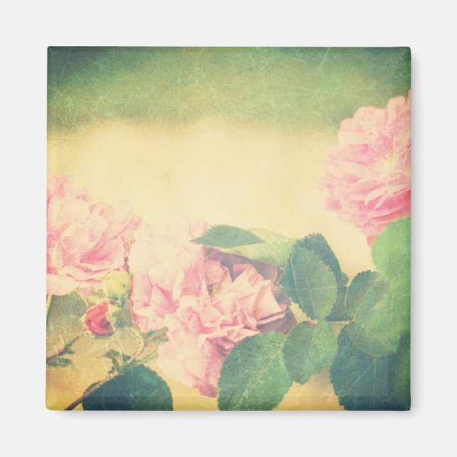 Climbing Pink Roses Magnet (Front)