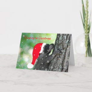 Climbing Racoon Christmas Card