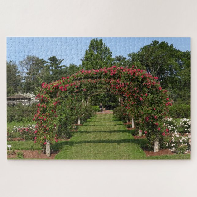 Climbing Rose Arch Elizabeth Park Garden Hartford Jigsaw Puzzle (Horizontal)