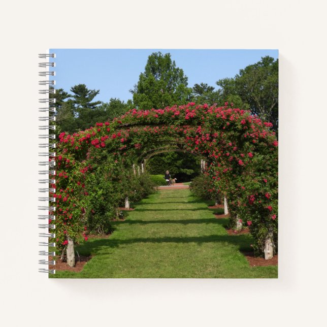 Climbing Rose Arch Elizabeth Park Garden Hartford Notebook (Front)