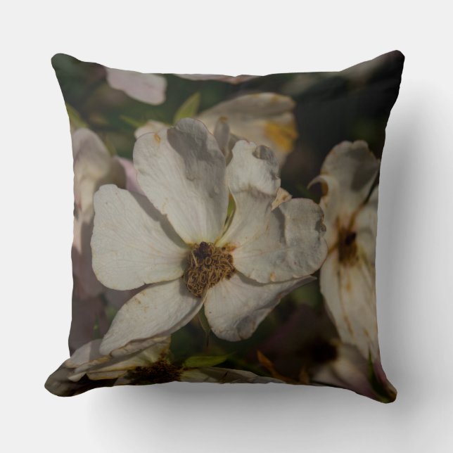 Climbing Rose Cushion (Front)