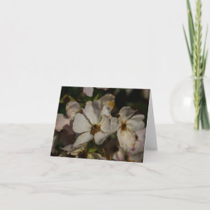Climbing Rose Thank You Card