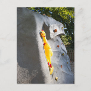Climbing Rubber Chicken Postcard