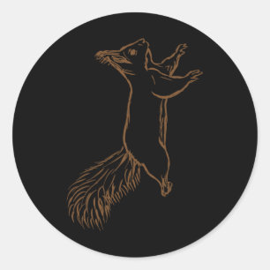 Climbing Squirrel Lover Graphic Squirrel Boys And Classic Round Sticker