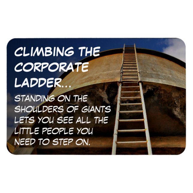 Climbing the corporate ladder gives perspective magnet (Horizontal)