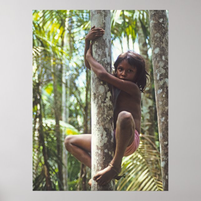 Climbing Trees. Poster (Front)